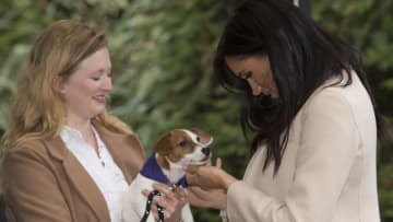 LONDON, ENGLAND - JANUARY 16: Meghan, the Duchess of Sussex meets a "Maggi" a Jack Russell with Emma Driver and Zoe Edwards during her visit to the Mayhew, an animal welfare charity on January 16, 2019 in London, England. This will be Her Royal Highnesses first official visit to Mayhew in her new role as Patron. (Photo by Eddie Mulholland - WPA Pool/Getty Images)