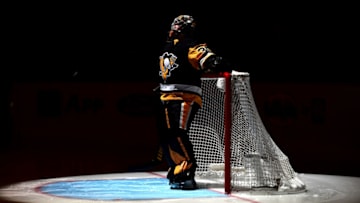 Penguins(Photo by Emilee Chinn/Getty Images)
