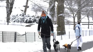 NEW YORK, NEW YORK - FEBRUARY 19: People wearing protective mask walk their dogs through Central Park during the snow storm on February 19, 2021 in New York City. The U.S. National Weather Service issued a winter weather advisory that a total of 6 to 8 inches of snow is expected on Thursday and Friday in parts of the Northeast, including southeast New York. (Photo by John Lamparski/Getty Images)
