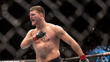 Jan 2, 2016; Las Vegas, NV, USA; Stipe Miocic (red gloves) reacts after defeating Andrei Arlovski (blue gloves) during UFC 195 at MGM Grand Garden Arena. Mandatory Credit: Joshua Dahl-USA TODAY Sports