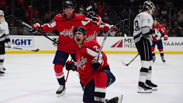 Garnet Hathaway, Washington Capitals Mandatory Credit: Gary A. Vasquez-USA TODAY Sports