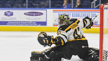 BRIDGEPORT, CT - JANUARY 25: Malcolm Subban