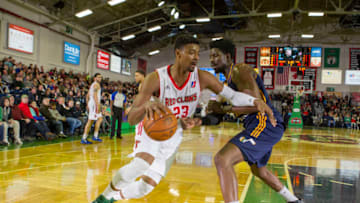 PORTLAND, ME - MARCH 19: Jordan Mickey. (Photo by Rich Obrey/NBAE via Getty Images)
