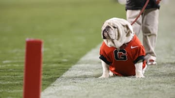 Nov 15, 2014; Athens, GA, USA; Georgia mascot UGA IX is shown on the field during their win over the Auburn Tigers at Sanford Stadium. Georgia won 34-7. Mandatory Credit: Jason Getz-USA TODAY Sports