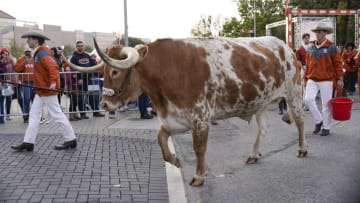 Texas Football Mandatory Credit: Scott Wachter-USA TODAY Sports