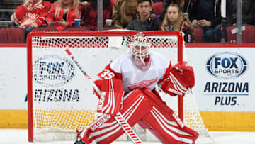 GLENDALE, AZ - MARCH 02: Jimmy Howard #35 of the Detroit Red Wings gets ready to make a save against the Arizona Coyotes at Gila River Arena on March 2, 2019 in Glendale, Arizona. (Photo by Norm Hall/NHLI via Getty Images)