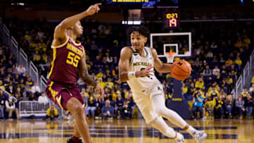 Jan 22, 2023; Ann Arbor, Michigan, USA; Michigan Wolverines guard Kobe Bufkin (2) dribbles on Minnesota Golden Gophers guard Ta'lon Cooper (55) in the first half at Crisler Center. Mandatory Credit: Rick Osentoski-USA TODAY Sports