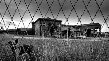 PRETORIA, SOUTH AFRICA - NOVEMBER 28: (EDITORS NOTE: Image was shot in black and white. Color version not available.) A German shepherd keeps watch at one of the locations that Dr. Wouter Basson AKA Dr. Death, used for his project "Project Coast", a top- secret biological-warfare program sponsored by the old Apartheid government on November 28, 2001 in Roodeplaat, Pretoria, South Africa. Mr. Basson, a cardiologist, ran the program in the 1980s & early 1990s, and he was accused of producing deadly drugs and other substances to be used against "enemies" by the apartheid government. (Photo by: Per-Anders Pettersson/Getty Images)