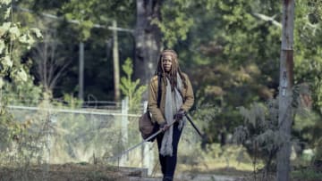 Danai Gurira as Michonne - The Walking Dead _ Season 9, Episode 14 - Photo Credit: Gene Page/AMC