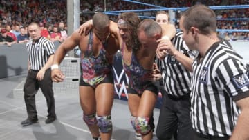Credit: WWE.com