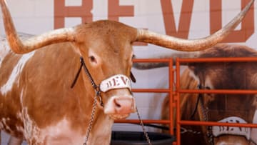 Texas Football (Photo by Tim Warner/Getty Images)