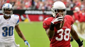 Sep 15, 2013; Phoenix, AZ, USA; Arizona Cardinals running back Andre Ellington (38) scores a 32 yard touchdown against the Detroit Lions during the first half at University of Phoenix Stadium. Mandatory Credit: Matt Kartozian-USA TODAY Sports