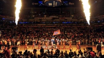 Mar 28, 2014; Phoenix, AZ, USA; The Phoenix Suns mascot the Gorilla waves the flag during player introductions before the Phoenix Suns play the New York Knicks at US Airways Center. The Suns won 112-88. Mandatory Credit: Casey Sapio-USA TODAY Sports