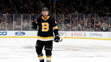 BOSTON, MA - DECEMBER 29: Boston Bruins defenseman Steven Kampfer (44) reacts to his assist during a game between the Boston Bruins and the Buffalo Sabres on December 29, 2019, at TD Garden in Boston, Massachusetts. (Photo by Fred Kfoury III/Icon Sportswire via Getty Images)