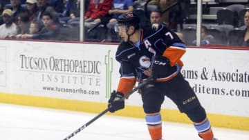 San Diego Gulls defenseman Steve Oleksy (7) handles the puck. (Photo by Jacob Snow/Icon Sportswire via Getty Images)