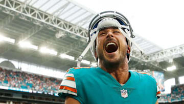 MIAMI, FL - DECEMBER 09: Danny Amendola #80 of the Miami Dolphins reacts after the Miami Dolphins defeat the New England Patriots 34-33 at Hard Rock Stadium on December 9, 2018 in Miami, Florida. (Photo by Michael Reaves/Getty Images)