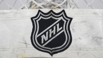 CHICAGO, IL - JANUARY 22: A general view of an NHL logo on the back of a net during warms up prior to a game between the Chicago Blackhawks and the Tampa Bay Lightning on January 22, 2018, at the United Center in Chicago, IL. (Photo by Patrick Gorski/Icon Sportswire via Getty Images)