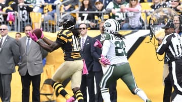 Oct 9, 2016; Pittsburgh, PA, USA; Pittsburgh Steelers wide receiver Sammie Coates (14) catches a pass for a touchdown as New York Jets cornerback Marcus Williams (20) pursues during the first quarter at Heinz Field against the New York Jets. Mandatory Credit: Mark Konezny-USA TODAY Sports