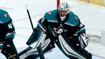 ANAHEIM, CA - APRIL 03: Ryan Miller #30 of the Anaheim Ducks holds the crease during the game against the Calgary Flames on April 3, 2019 at Honda Center in Anaheim, California. (Photo by Debora Robinson/NHLI via Getty Images)