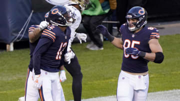 Chicago Bears (Mike Dinovo-USA TODAY Sports)