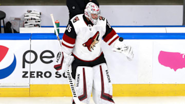 Darcy Kuemper #35 of the Arizona Coyotes (Photo by Jeff Vinnick/Getty Images)