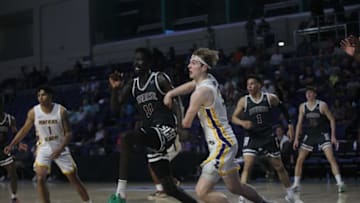 Liam McNeeley, Texas basketball