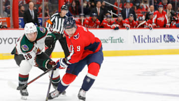 Dmitry Orlov, Washington Capitals Mandatory Credit: Geoff Burke-USA TODAY Sports