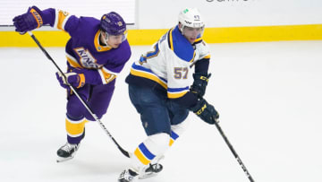 St. Louis BluesMandatory Credit: Robert Hanashiro-USA TODAY Sports