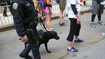 NEW YORK, NY - APRIL 21: A police K-9 unit stands at the end of the first annual 9/11 Memorial 5K Run/Walk on April 21, 2013 in New York City. Security was tight for the race, as has been the case in large scale events around the country since the Boston Marathon bombings. April 21 marks the anniversary that President Barack Obama signed into law legislation making 9/11 a day of service and volunteerism in memory of the victims of the 2001 attacks. (Photo by John Moore/Getty Images)