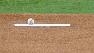 South Carolina baseball landed a commitment from in-state talent Seth Manning. Mandatory Credit: Jerome Miron-USA TODAY Sports