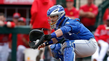 Kansas City Royals catcher Tony Cruz (7) - Mandatory Credit: Rick Scuteri-USA TODAY Sports