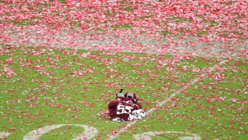 Douglas DeFelice-USA TODAY Sports