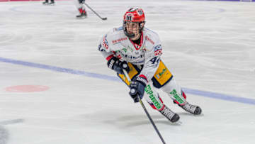 Lukas Reichel (Photo by TF-Images/Getty Images)