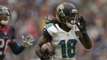 Nov 24, 2013; Houston, TX, USA; Jacksonville Jaguars wide receiver Ace Sanders (18) runs after a catch against the Houston Texans during the first half at Reliant Stadium. Mandatory Credit: Thomas Campbell-USA TODAY Sports