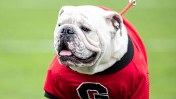 ATHENS, GA - SEPTEMBER 16: UGA XI, Boom during a game between South Carolina Gamecocks and Georgia Bulldogs at Sanford Stadium on September 16, 2023 in Athens, Georgia. (Photo by Steve Limentani/ISI Photos/Getty Images)