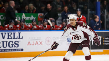 LA Kings (Photo by Chris Tanouye/Getty Images)