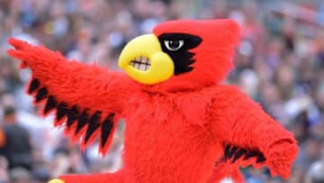 Mar 29, 2015; Syracuse, NY, USA; The Louisville Cardinals mascot on the court during the first half against the Michigan State Spartans in the finals of the east regional of the 2015 NCAA Tournament at the Carrier Dome. Mandatory Credit: Mark Konezny-USA TODAY Sports