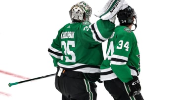 Anton Khudobin #35 of the Dallas Stars (Photo by Bruce Bennett/Getty Images)