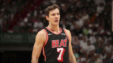 MIAMI, FL - NOVEMBER 22: Goran Dragic