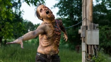 A Walker - The Walking Dead _ Season 8, Episode 1 - Photo Credit: Jackson Lee Davis/AMC