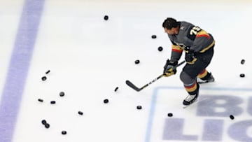 Ryan Reaves #75 of the Vegas Golden Knights skates in warm-ups prior to the game against the Vancouver Canucks in Game Two of the Western Conference Second Round. (Photo by Bruce Bennett/Getty Images)