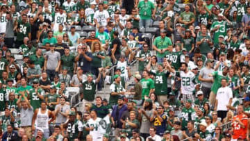 Sep 13, 2015; East Rutherford, NJ, USA; New York Jets fans react to a play during the second half at MetLife Stadium. Mandatory Credit: Danny Wild-USA TODAY Sports
