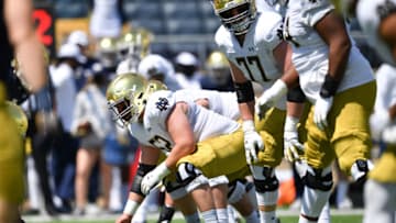 Notre Dame Fighting Irish. (Mandatory Credit: Matt Cashore-USA TODAY Sports)