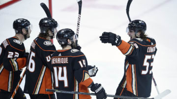 The Anaheim Ducks celebrate an overtime goal. Mandatory Credit: Kelvin Kuo-USA TODAY Sports