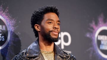 Chadwick Boseman (Photo by Matt Winkelmeyer/Getty Images for dcp)