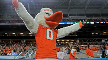 MIAMI GARDENS, FL - NOVEMBER 11: Miami Hurricanes mascot Sebastian celebrates during a game against the Notre Dame Fighting Irish at Hard Rock Stadium on November 11, 2017 in Miami Gardens, Florida. (Photo by Mike Ehrmann/Getty Images)