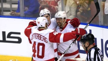Mar 19, 2016; Sunrise, FL, USA; Detroit Red Wings center Luke Glendening (back) celebrates his goal against Florida Panthers goalie Roberto Luongo (1) with center Dylan Larkin (71) and left wing Henrik Zetterberg (40) in the third period at BB&T Center. The Red Wings won 5-3. Mandatory Credit: Robert Mayer-USA TODAY Sports