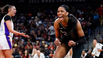 South Carolina basketball legend Aja Wilson. Mandatory Credit: Lucas Peltier-USA TODAY Sports