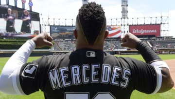 Chicago White Sox (Photo by Ron Vesely/Getty Images)