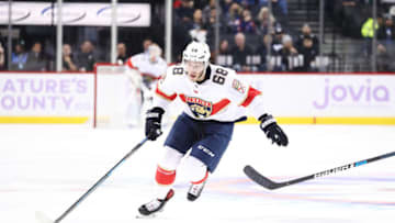 NEW YORK, NEW YORK - NOVEMBER 09: Mike Hoffman #68 of the Florida Panthers in action against the New York Islanders during their game at Barclays Center on November 09, 2019 in New York City. (Photo by Al Bello/Getty Images)